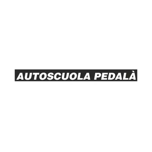 SIDA DRIVE - simulatore di guida - Pedala 2 SIDA DRIVE - simulatore di guida - Pedala 2