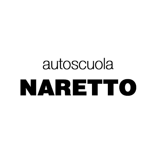 SIDA DRIVE - simulatore di guida - naretto